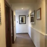 La Seguirilla Del Jerte * Casas del Castañar