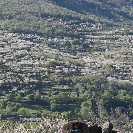La Seguirilla Del Jerte Dom wakacyjny Casas del Castañar