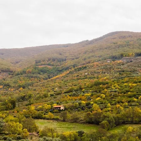 La Seguirilla Del Jerte