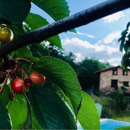 La Seguirilla Del Jerte Dom wakacyjny Casas del Castañar