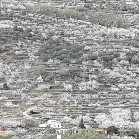 Holiday home La Seguirilla Del Jerte Casas del Castanar