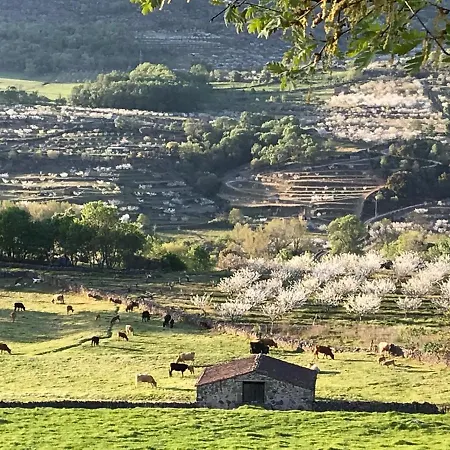 La Seguirilla Del Jerte *