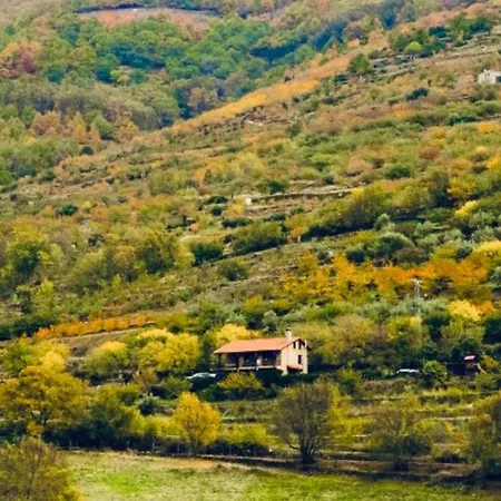 La Seguirilla Del Jerte * Casas del Castañar