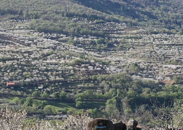 La Seguirilla Del Jerte Vakantiehuis Casas del Castañar