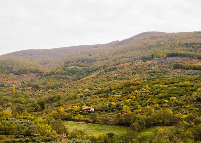 La Seguirilla Del Jerte