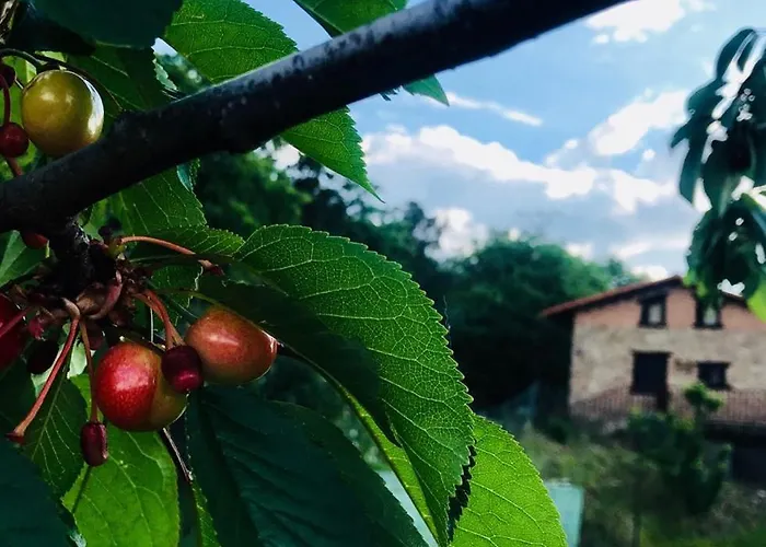 La Seguirilla Del Jerte Vakantiehuis Casas del Castañar