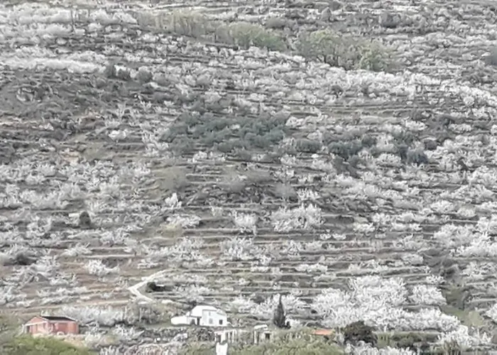 Vakantiehuis La Seguirilla Del Jerte Casas del Castañar