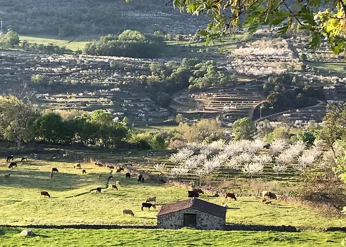 La Seguirilla Del Jerte *