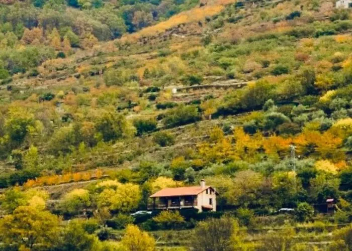 La Seguirilla Del Jerte * Casas del Castañar